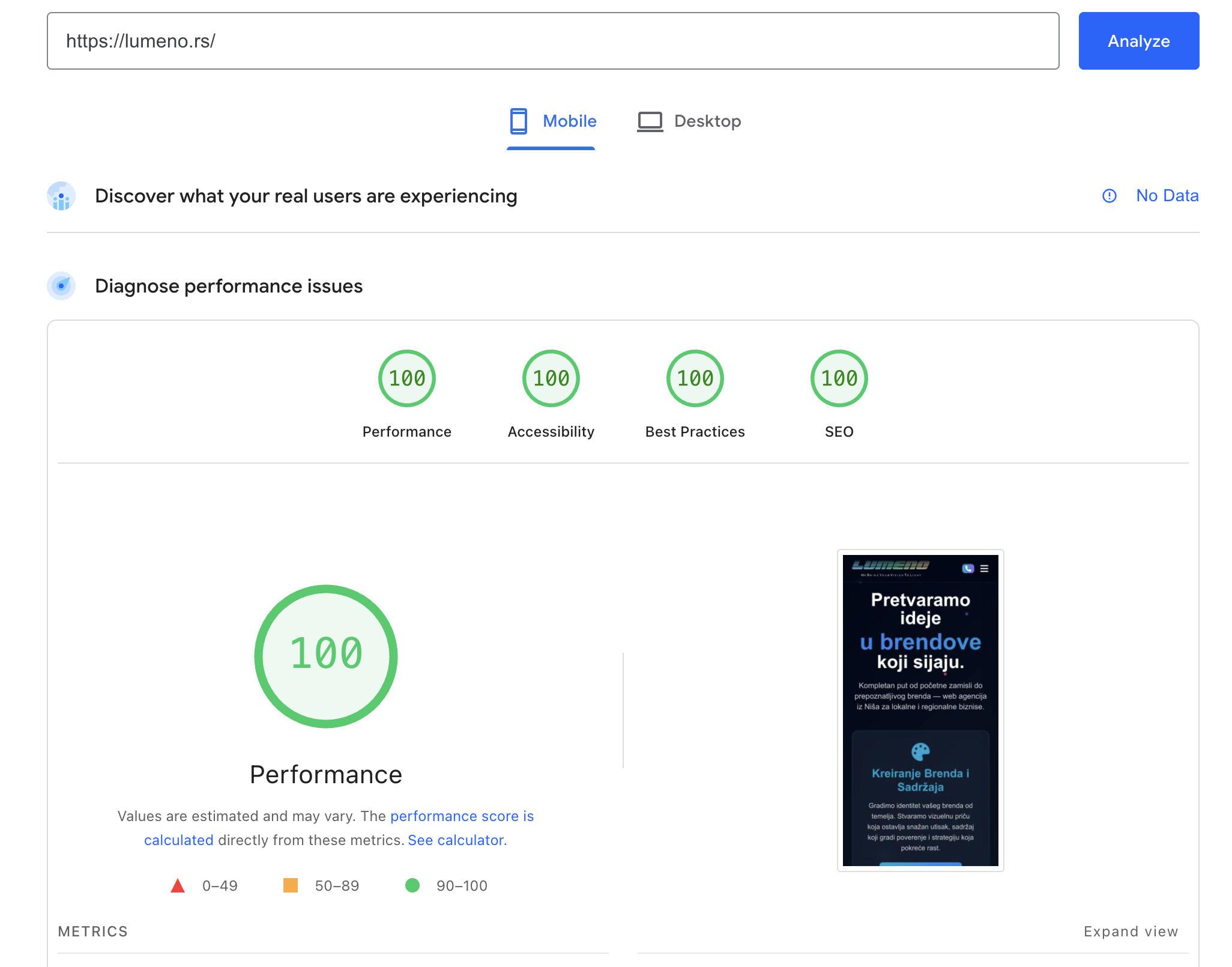 Google PageSpeed Insights - 100/100 Performance Score